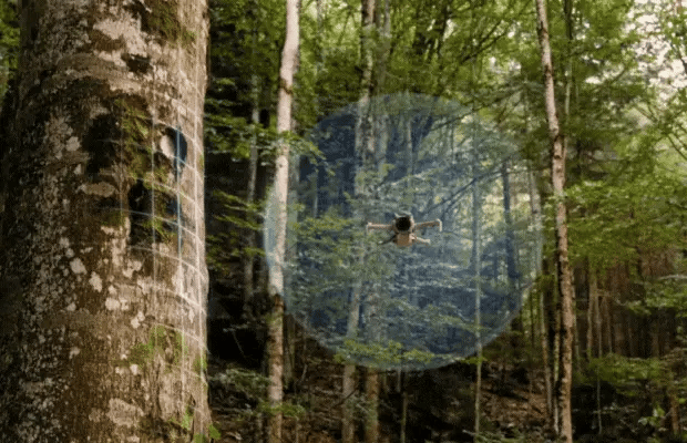 Untitled-design-4-1yy756yuyhgj.webp__PID:0d576151-adf2-4a8a-b473-52050afa050d